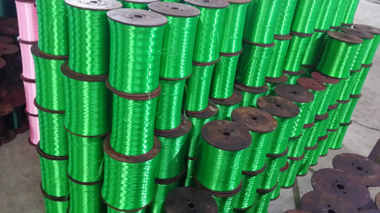 Green Polyethylene Line 1
